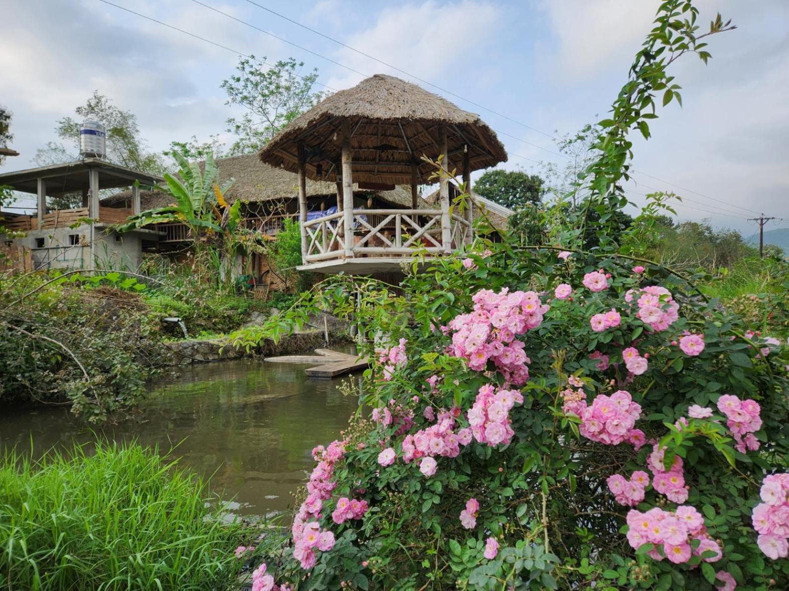 Dong Que Homestay-Tours-Motorbike, Car Rental, Hiking Ha Giang Eksteriør bilde