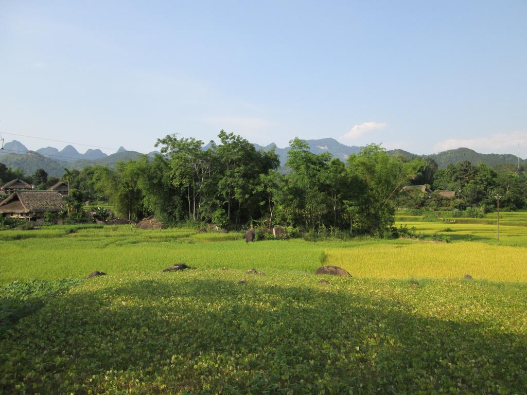 Dong Que Homestay-Tours-Motorbike, Car Rental, Hiking Ha Giang Eksteriør bilde