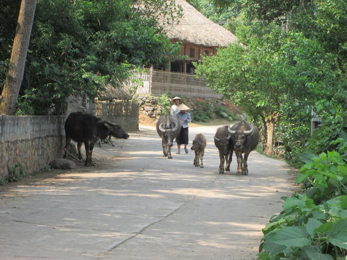 Dong Que Homestay-Tours-Motorbike, Car Rental, Hiking Ha Giang Eksteriør bilde